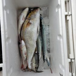 フカセが一番・・面白いです・・