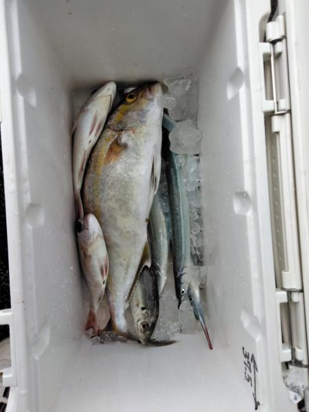 フカセが一番・・面白いです・・