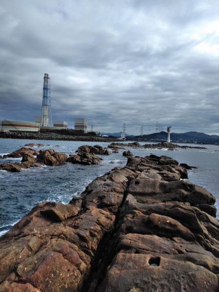 グレ釣れてる・・