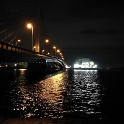 南港へち釣行 （10/20 久々の南港ヘチ釣り 真チヌ47.5cm、キビレチヌ、ガシラ 釣果有り）