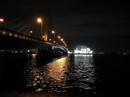 南港へち釣行 （10/20 久々の南港ヘチ釣り 真チヌ47.5cm、キビレチヌ、ガシラ 釣果有り）