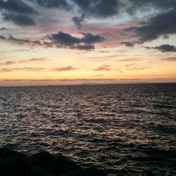 アジ鯵アジ鯵アジ鯵アジ