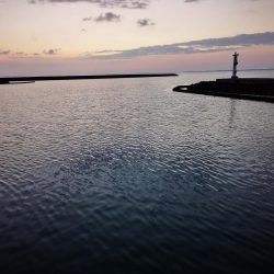 久しぶりの釣果です。