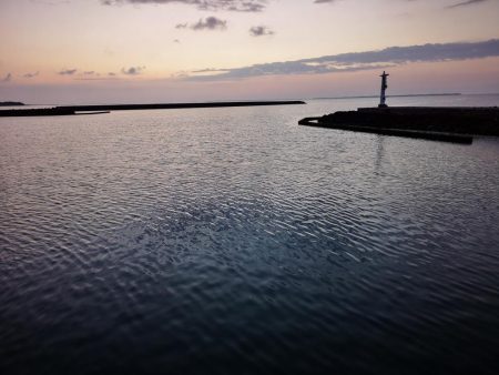 久しぶりの釣果です。