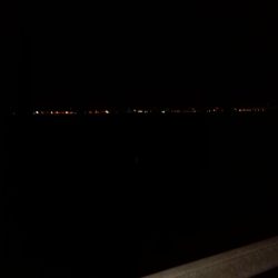 見たこともない魚が？