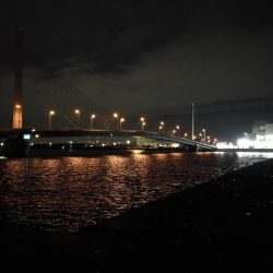 南港へち釣行 （10/26 雨あとの南港ヘチ釣り キビレチヌ42cm、ガシラ、アジ 釣果有り）