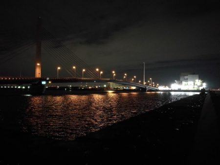 南港へち釣行 （10/26 雨あとの南港ヘチ釣り キビレチヌ42cm、ガシラ、アジ 釣果有り）