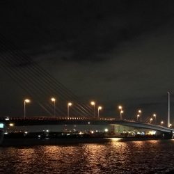 南港へち釣行 (10/27 南港ヘチ釣り 真チヌ30cm、キビレチヌ 釣果有り)