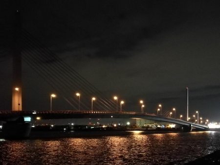 南港へち釣行 (10/27 南港ヘチ釣り 真チヌ30cm、キビレチヌ 釣果有り)