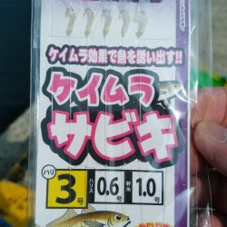 イワシを求めて