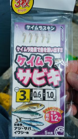 イワシを求めて