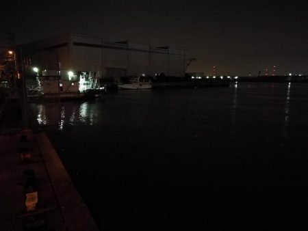 南港へち釣行 （10/30 南港ヘチ釣り キビレチヌ39cm、ガシラ 釣果有り）