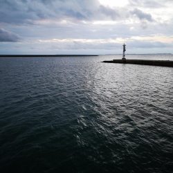 プラグでは無反応、ジャックアイでギンガメアジ