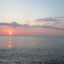 那賀川河口のメッキアジ