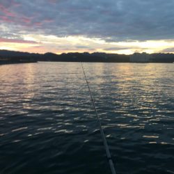 中型アジ4匹、コアジ35匹、メッキ、チャリコ