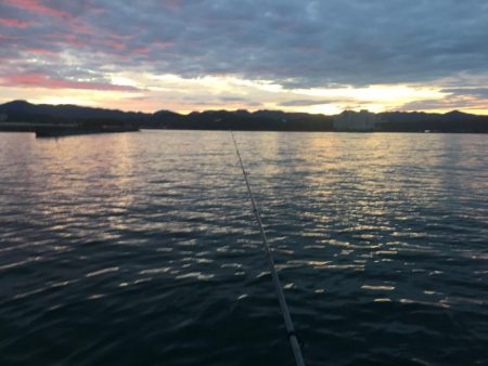 中型アジ4匹、コアジ35匹、メッキ、チャリコ