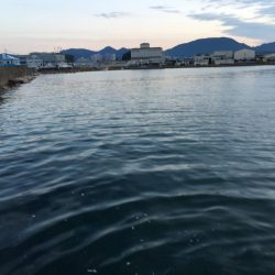 コアジ180匹、中型アジ35匹、コノシロ3匹、ボラ1匹