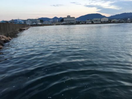 コアジ180匹、中型アジ35匹、コノシロ3匹、ボラ1匹