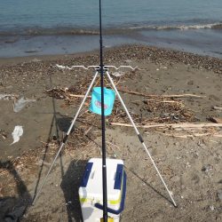 暑さの中の秋キス釣り