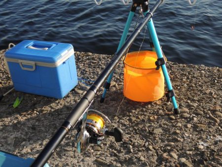 エビ撒きの5目釣り 最後に本命