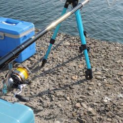 秋のエビ撒き釣り　ハネの気配は無し