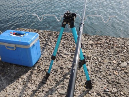 エビ撒き釣り 結局は5目釣りに