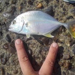 もう浮気はしませんm(._.)m