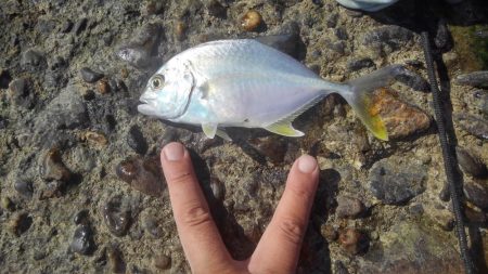 もう浮気はしませんm(._.)m