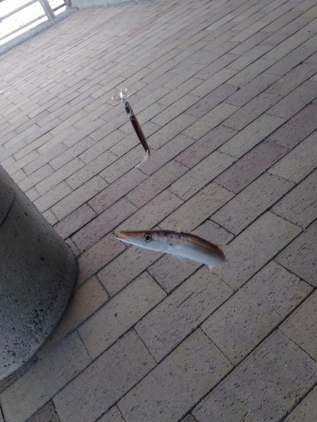 やっぱりかます。