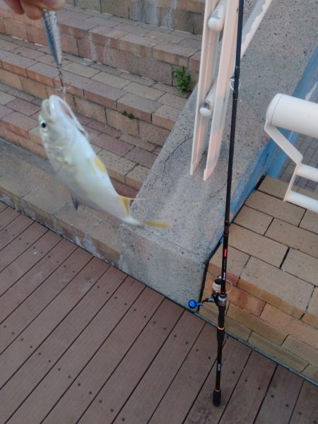 ライトショアジギング