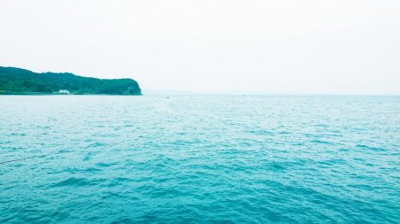 ラッキーハマチ