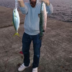 サワラ、タチウオ、ハマチ、アジ