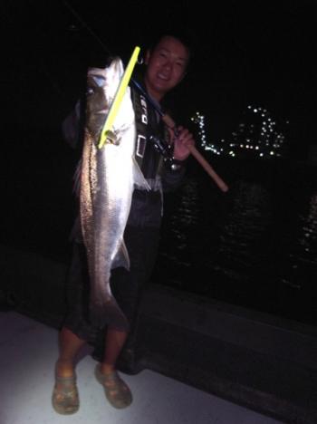 シーマジカル 釣果