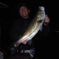 シーマジカル 釣果