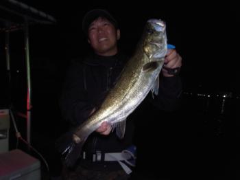 シーマジカル 釣果