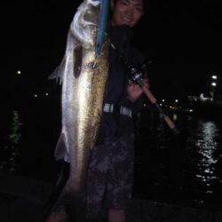 シーマジカル 釣果