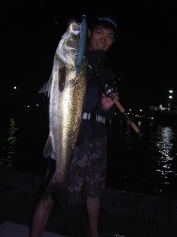 シーマジカル 釣果