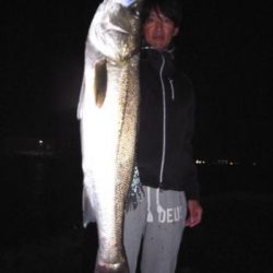 シーマジカル 釣果