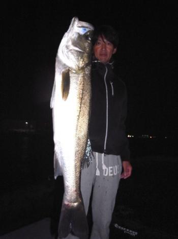 シーマジカル 釣果