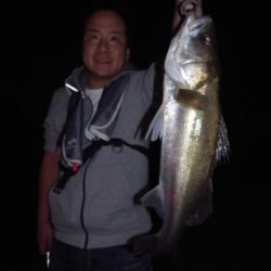 シーマジカル 釣果