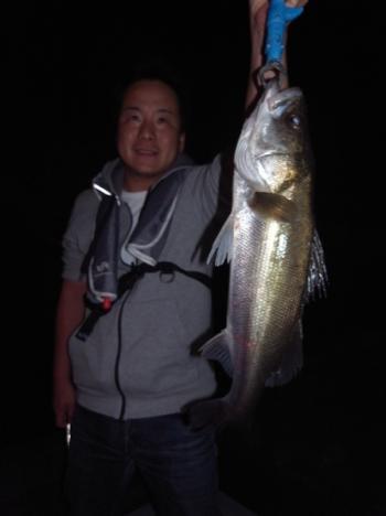 シーマジカル 釣果