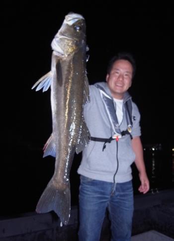 シーマジカル 釣果