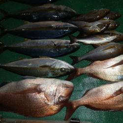 第二むつ漁丸 釣果