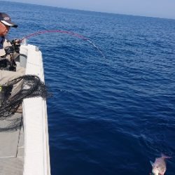 IDATEN(イダテン) 釣果