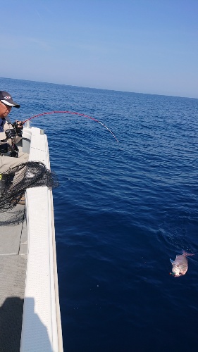 IDATEN(イダテン) 釣果