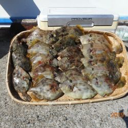 館山つりセンターくろしお丸 釣果