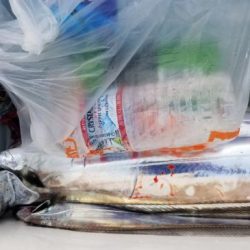 暁〜akatsuki〜 釣果