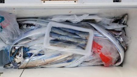 暁〜akatsuki〜 釣果