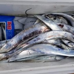 暁〜akatsuki〜 釣果