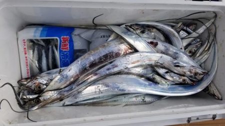 暁〜akatsuki〜 釣果